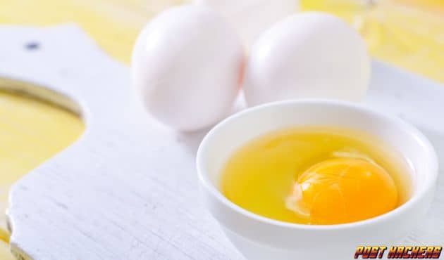 How Much Protein is an Egg Best Nutrition Information