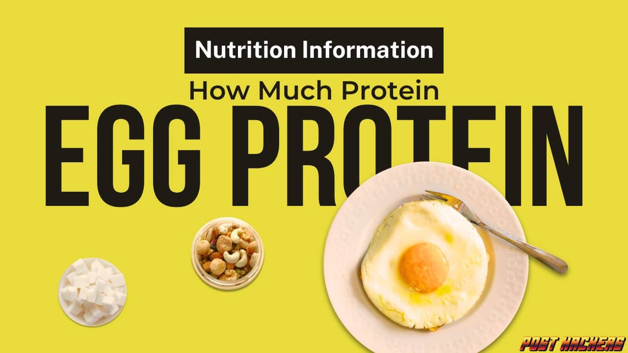 How Much Protein is an Egg Best Nutrition Information