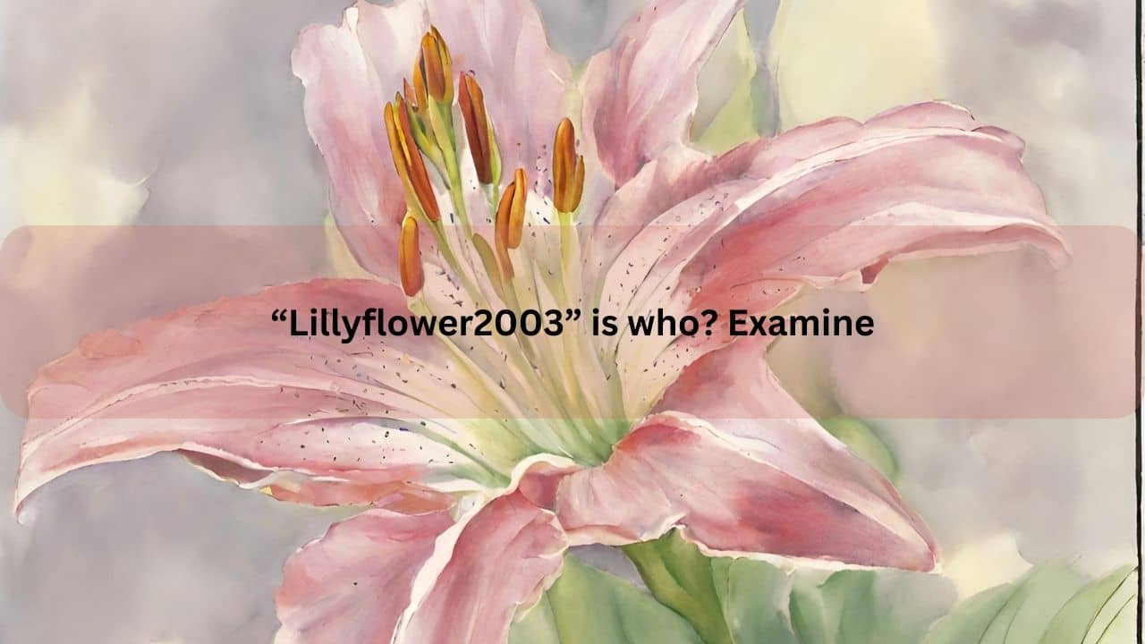 “Lillyflower2003” is who? Examine