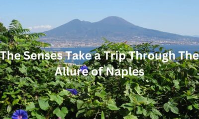 The Senses Take a Trip Through The Allure of Naples